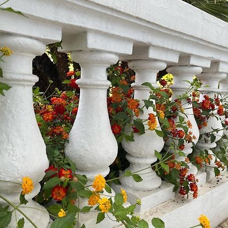 Beautiful Garden Apartment Steps From The Beach Мантон Екстер'єр фото